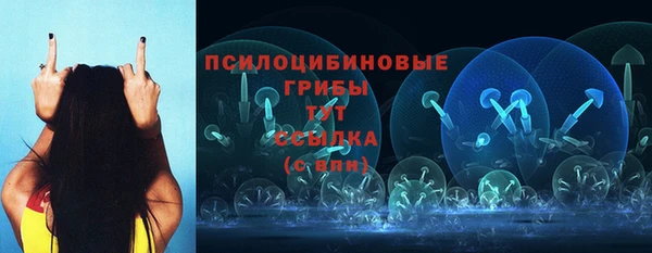 соль ск Армянск