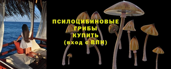 соль ск Армянск